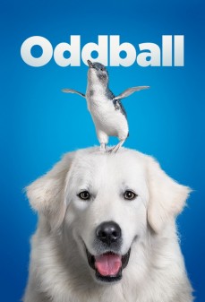 مشاهدة وتحميل فلم Oddball and the Penguins غريب الأطوار والبطاريق  اونلاين