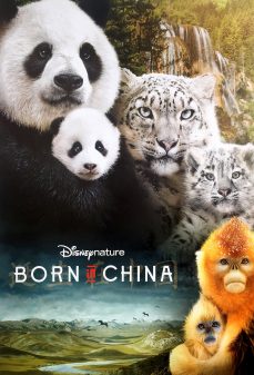مشاهدة وتحميل فلم Born in China  اونلاين