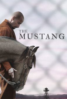 مشاهدة وتحميل فلم The Mustang الموستانج اونلاين