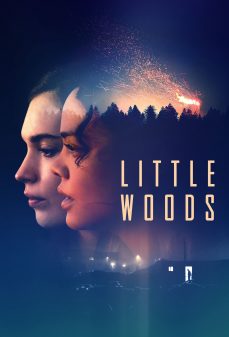 مشاهدة وتحميل فلم Little Woods غابات صغيرة اونلاين