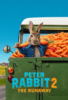 مشاهدة وتحميل فلم Peter Rabbit 2: The Runaway الأرنب بيتر 2: الهروب اونلاين