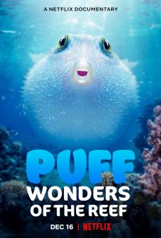 مشاهدة وتحميل فلم Puff: Wonders of the Reef بوف : عجائب الشعاب المرجانية اونلاين