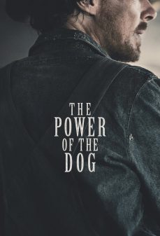 مشاهدة وتحميل فلم The Power of the Dog قوة الكلب  اونلاين