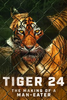 مشاهدة وتحميل فلم Tiger 24 نمر 24 اونلاين