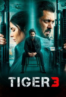مشاهدة وتحميل فلم Tiger 3  تايجر الجزء الثالث اونلاين