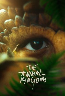 مشاهدة وتحميل فلم The Animal Kingdom مملكة الحيوانات اونلاين